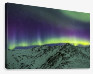 Aurora Borealis Over Mountains Within Denali National - Printscapes Wall Art: 36" X 24" Canvas Print With Black