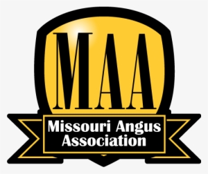 Logo Gold - Missouri