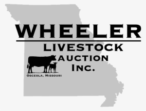 Weekly Summary Cattle Market Missouri Png Weekly Summary - Dairy Cow