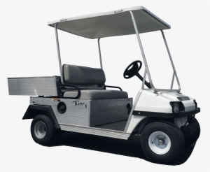 Room For 2 Passengers And A Light Cargo Load - M & M Golf Cars Llc