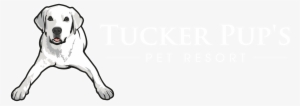 Tucker Pup's Pet Resort - Sarah Tucker: Windowsill Girl Cd