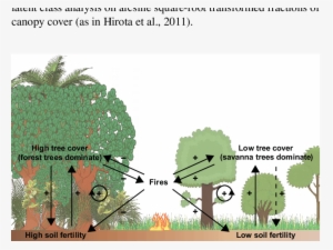 Relations Between Forest Tree Cover, Savanna Tree Cover, - Soil Fertility In Savanna