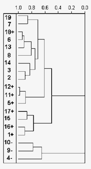 Hca Dendogram For 19 Artemisinins With Highly Active - Number