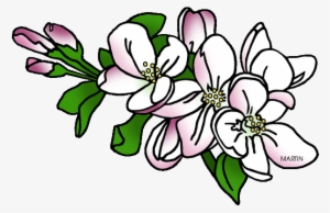 Jpg Freeuse United States Clip Art By Phillip Martin - Apple Blossom Michigan State Flower