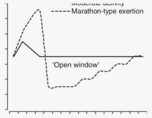 The 'open Window' Theory - Plot
