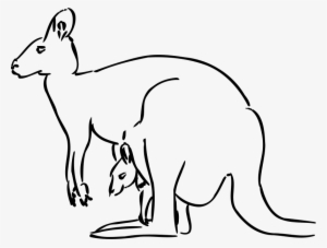 Kangaroo Clip Art