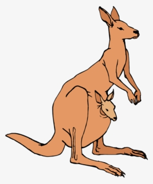 Kangaroo Clipart Transparent Background - Clip Art Kangaroo