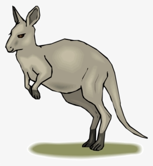 Grey Kangaroo Clipart