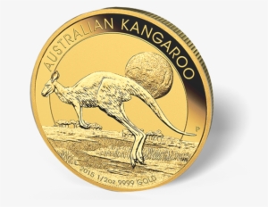 Picture Of 2016 1/2 Oz Australian Gold Kangaroo - 2015 Australian Kangaroo Gold Coin