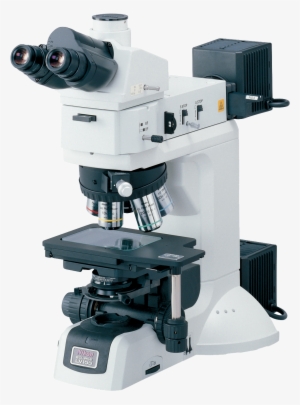 Microscope - Nikon Microscope