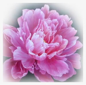 The Latest News About Opera Web Browsers, Tech Trends, - Peony Painting