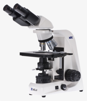 Biological Microscope - Meiji Techno Mt4000
