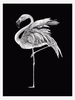 Premium Giclee Paper This Is A Thick Heavy Weight (310g - Black & White Flamingo Kussenhoes Katoen/flanel
