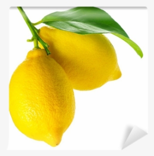Lemon Isolated On White - Painting