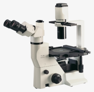 Inverted Microscope - Labomed Tcm400