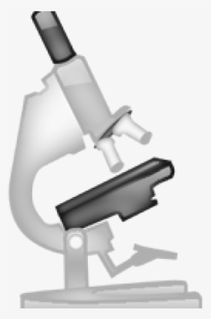 Microscope Png Transparent Images - Microscope