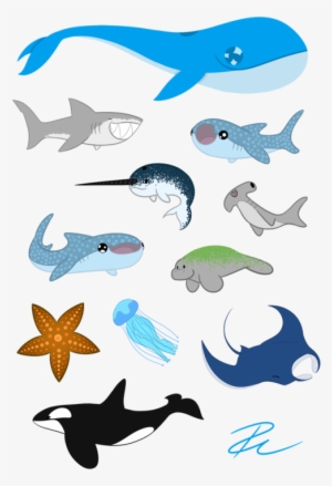 look at all these sea babies