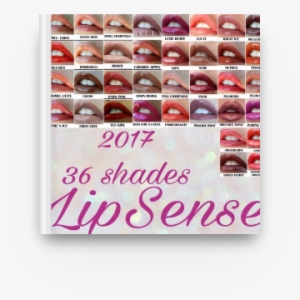The Top 36 Lipsense Shades - Lipsense Colors October 2017