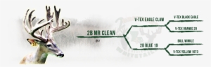 Mr - Clean - Calligraphy