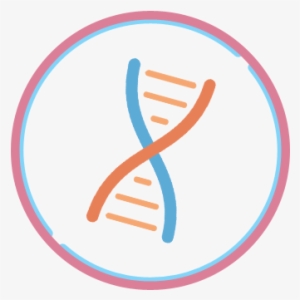 Chromosome Dna Testing - Chromosome Icon
