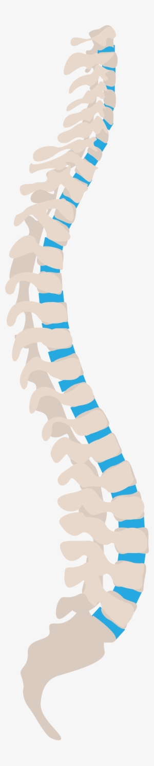 Open - Spine Tips For Health Workers