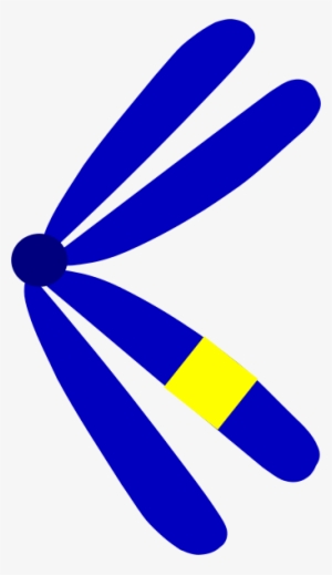 Small - Clip Art