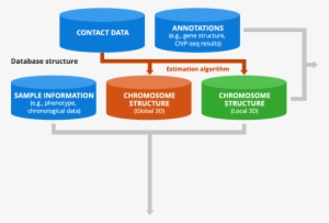 Figure - Diagram
