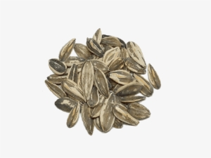 Semillas De Girasol Tostadas - Sunflower Seed