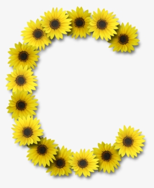Alfabeto Florido Girassol Png - Sunflower Letter O