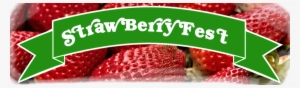 Murray Farm Fest Strawberryfest Ribbon - Frutti Di Bosco