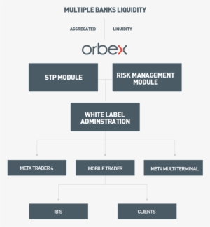 Becoming A White Label Partner With Orbex Ltd Provides - Forex White Label Affiliate