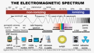 the Electromagnetic Spectrum And Its Health Risks - Type Of Light Has The Most Energy