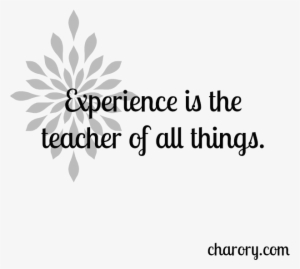 Experience Is The Teacher Of All Things - Colossians 3