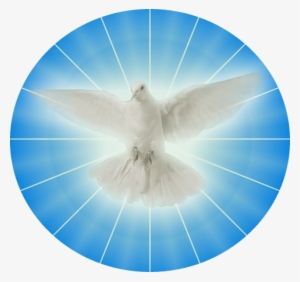El Espíritu Santo Y La Pasión De Jesús - Srm Color