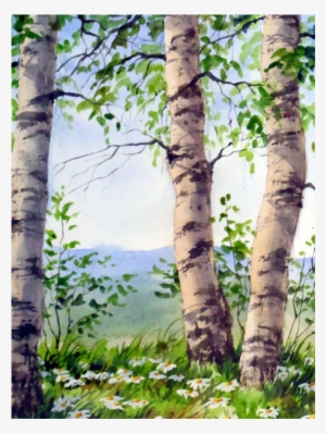 Birch Trio By Varvara Harmon Harvest Gold Gallery - Watercolor Painting