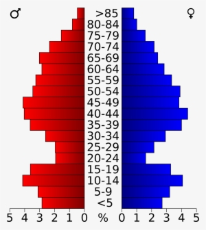 Open - Population Pyramid Of Palm Beach County