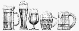 Beer Glassware Drawing Illustration - Hand Drawn Beer