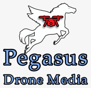 Pegasus Drone Media - Logo