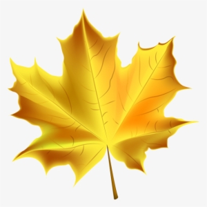 Beautiful Yellow Autumn Leaf Transparent Png Clip Art - Autumn Tree Leaf Clipart