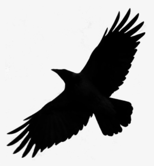 Crow Raven Bird Silhouette Fly Png By Redrisingwolf - Thunderbird Sighting 2018