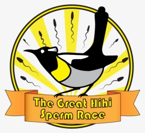 betting on bird sperm in a race to help hihi - university of helsinki