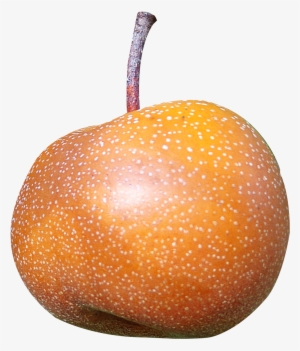 asian pear png image - asian pear png