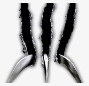Wolverine Claws Logo Png
