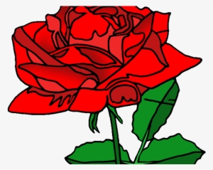 Red Rose Clipart American Beauty - Washington Dental Health Care: Martin Phillip S Dds
