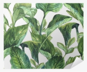 Tropical Leaves Wallpaper Watercolour