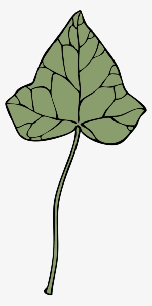 This Free Icons Png Design Of Ivy Leaf 7
