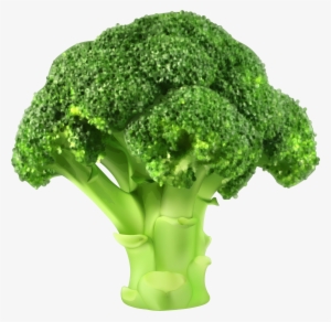 Broccoli Png Clipart - Broccoli Clipart