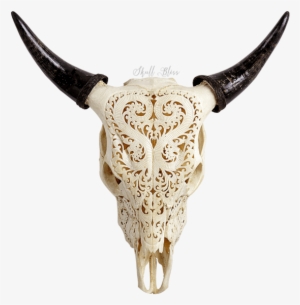 carved cow skull - cattle