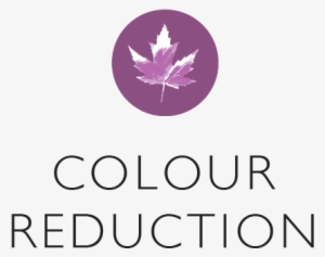 Colour Reduction - Logo - Maple Leaf