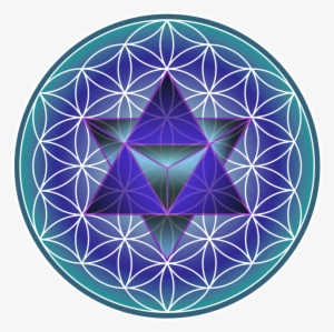 Image Result For Flower Of Life Png White - Sacred Geometry
